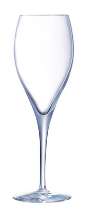 260ml Oenologue Expert Sampanjaklaas