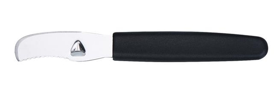 165mm Apelsinikoorija